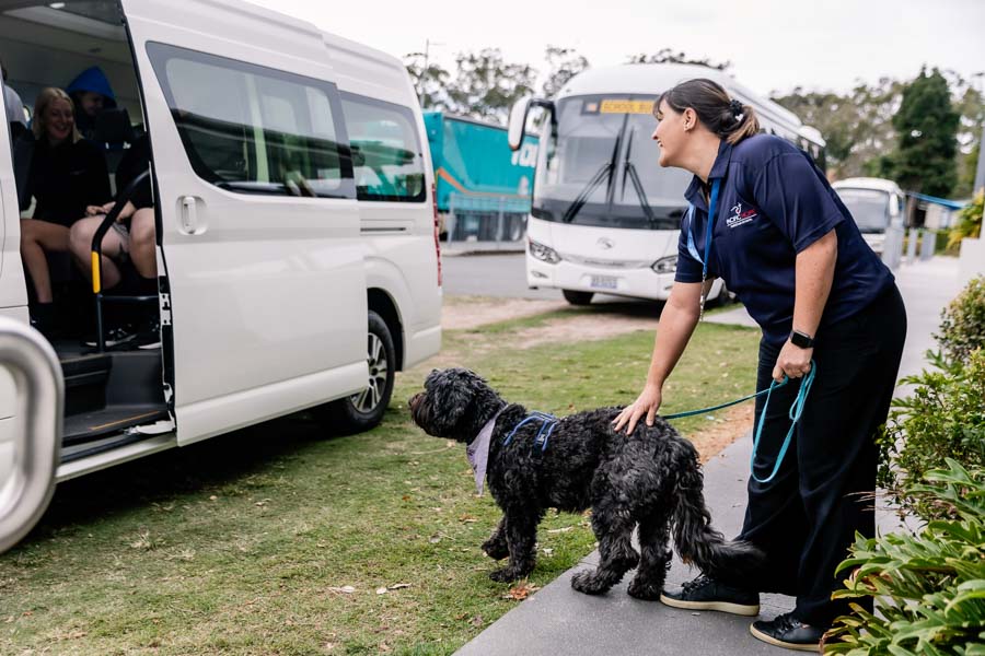 Therapy dog greets students arriving to school via bus
