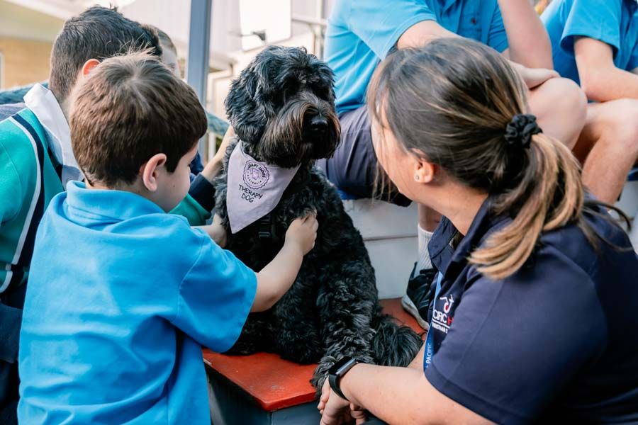 Students gently patting a therapy dog, fostering a sense of comfort and connection.